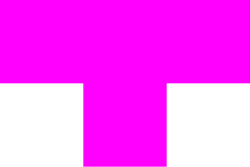 T Tetromino